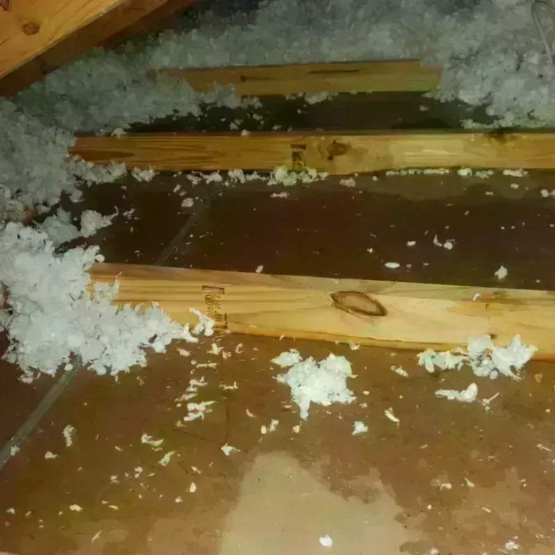 Attic Water Damage in West Valley City, UT