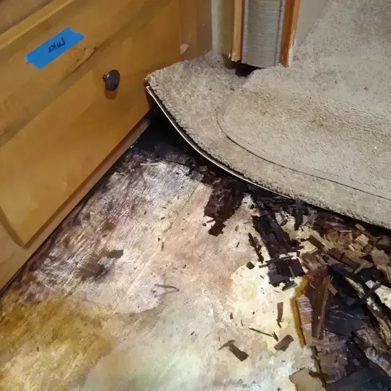 Wood Floor Water Damage in West Valley City, UT